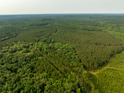 Property for sale in Oktibbeha County, Mississippi