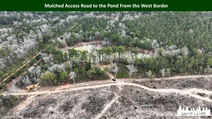 Property for sale in Tyler County, Texas