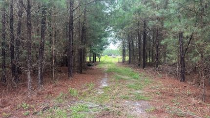 Property for sale in Bulloch County, Georgia