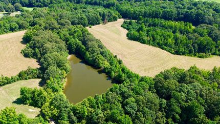 Undeveloped Land for sale in Craighead County, Arkansas