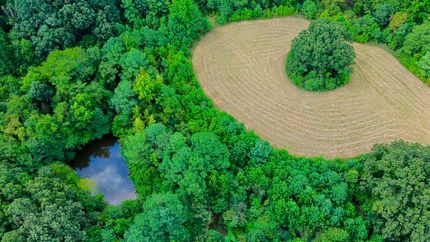 Property for sale in Craighead County, Arkansas