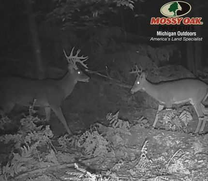 Property in Alcona County, Michigan