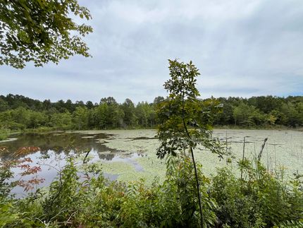 Recreational Property for sale in Tippah County, Mississippi