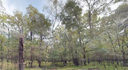 Property in Liberty County, Texas