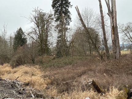 Property for sale in Lewis County, Washington