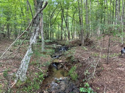 Property for sale in Heard County, Georgia