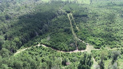 Property for sale in Newton County, Texas