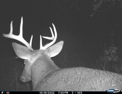 Property in Eaton County, Michigan