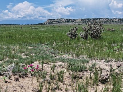 Property for sale in Pueblo County, Colorado