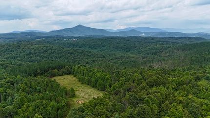 Timberland Property for sale in Morgan County, Tennessee