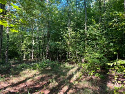 Property for sale in Anderson County, South Carolina