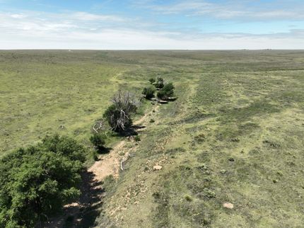 Undeveloped Land for sale in Texas County, Oklahoma