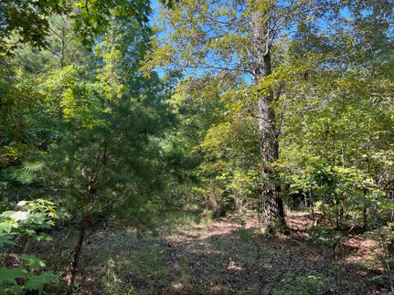 Undeveloped Land for sale in Anderson County, South Carolina