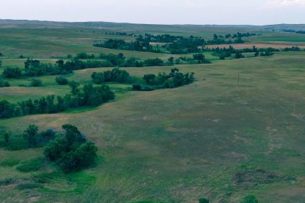 Property for sale in Fallon County, Montana