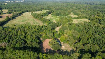 Farm Property for sale in Camp County, Texas