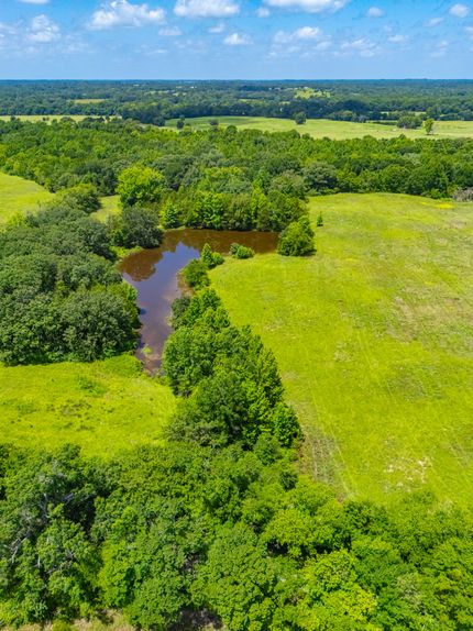 Hunting Land for sale in Morris County, Texas