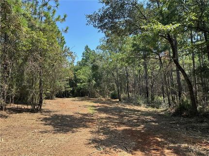 Undeveloped Land for sale in Mobile County, Alabama