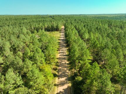 Property for sale in Pike County, Arkansas