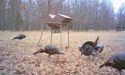 Recreational Property for sale in Randolph County, Arkansas