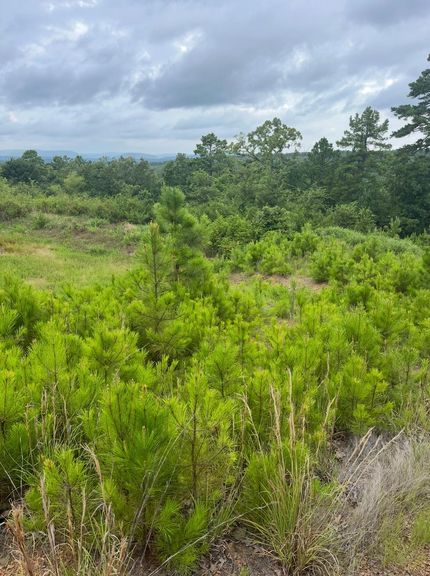 Residential Property for sale in Le Flore County, Oklahoma