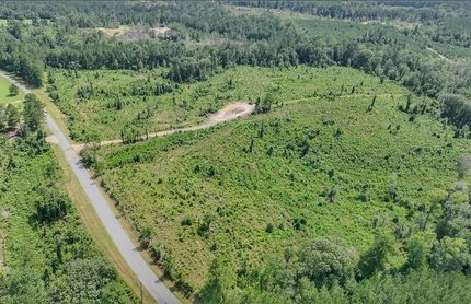 Hunting Land for sale in Wayne County, Mississippi