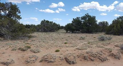 Property for sale in Apache County, Arizona