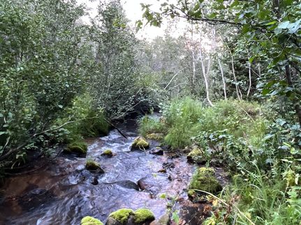 Property in Bear Lake County, Idaho