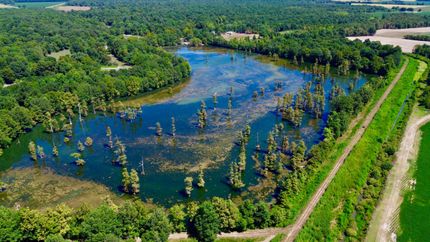 Lakefront Property for sale in Clay County, Arkansas