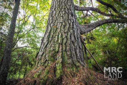 Ranch Property for sale in Shelby County, Texas