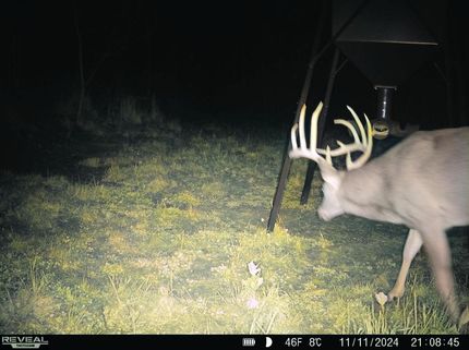 Ranch Property for sale in Gallia County, Ohio