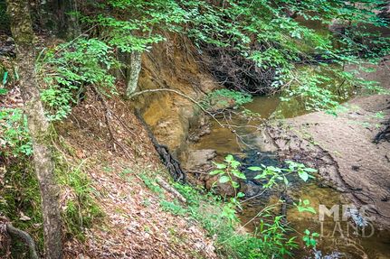 Hunting Land for sale in Shelby County, Texas