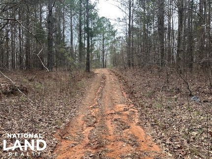 Property in Tishomingo County, Mississippi