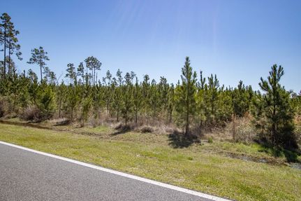 Undeveloped Land for sale in Calhoun County, Florida