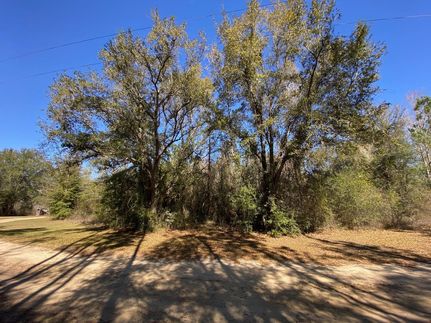 Undeveloped Land for sale in Calhoun County, Florida