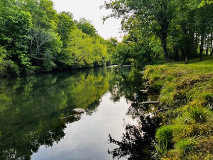 Property for sale in Warren County, Tennessee