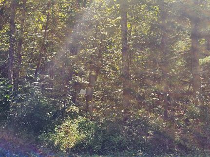 Residential Property for sale in Montgomery County, New York