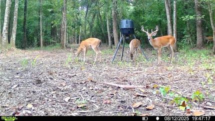 Property for sale in Decatur County, Georgia