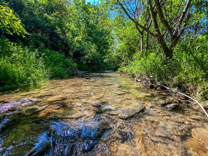 Undeveloped Land for sale in Carroll County, Ohio