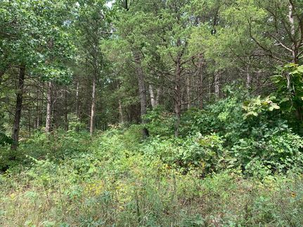 Property for sale in Phelps County, Missouri