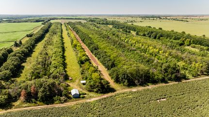 Hunting Land for sale in McPherson County, Kansas