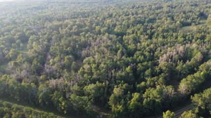 Property for sale in Copiah County, Mississippi
