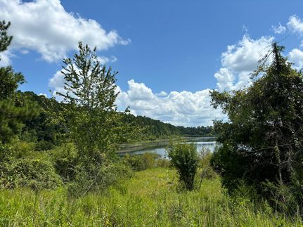 Ranch Property for sale in Decatur County, Georgia