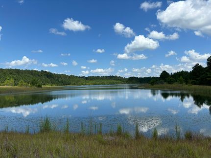 Undeveloped Land for sale in Decatur County, Georgia