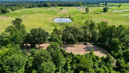 Hunting Land for sale in Camp County, Texas