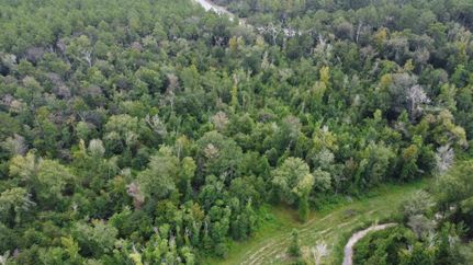 Timberland Property for sale in Calcasieu Parish, Louisiana