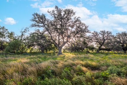 Property for sale in Concho County, Texas