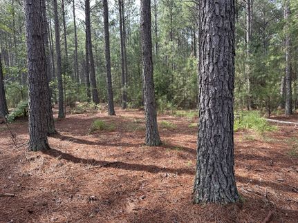 Undeveloped Land for sale in Cherokee County, South Carolina