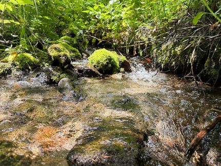 Hunting Land for sale in Jefferson County, Montana