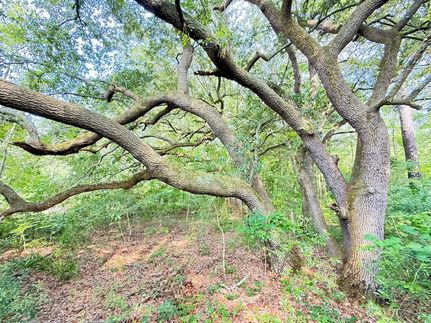 Farm Property for sale in Williamsburg County, South Carolina