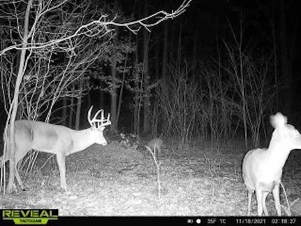 Property in Osceola County, Michigan